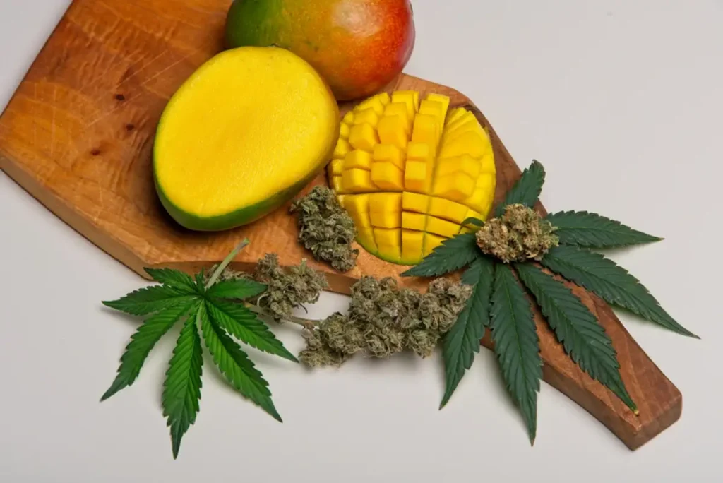 cannabis and mango