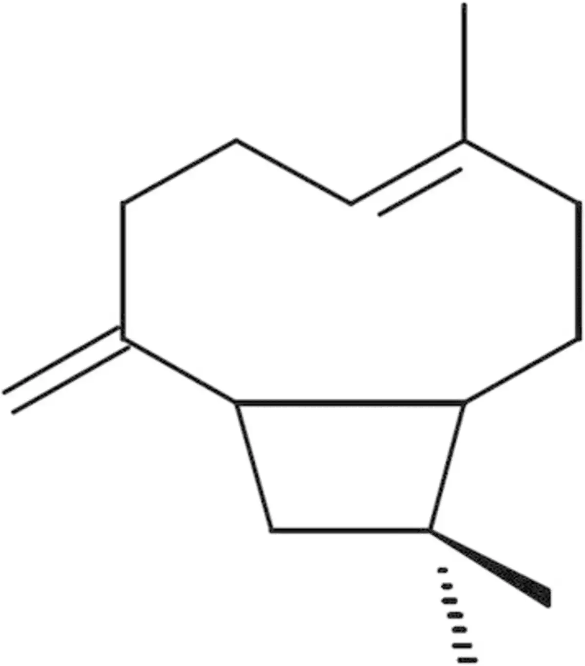 chemical structure of b caryophyllene