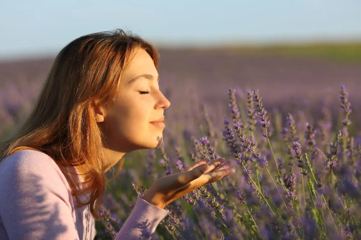 girl smelling at lavender flowrers