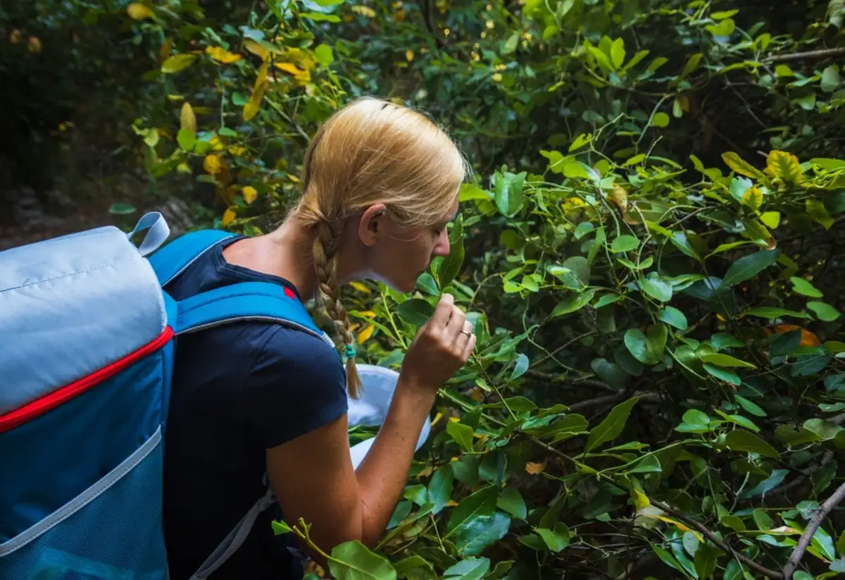 Blond woman smelling plants