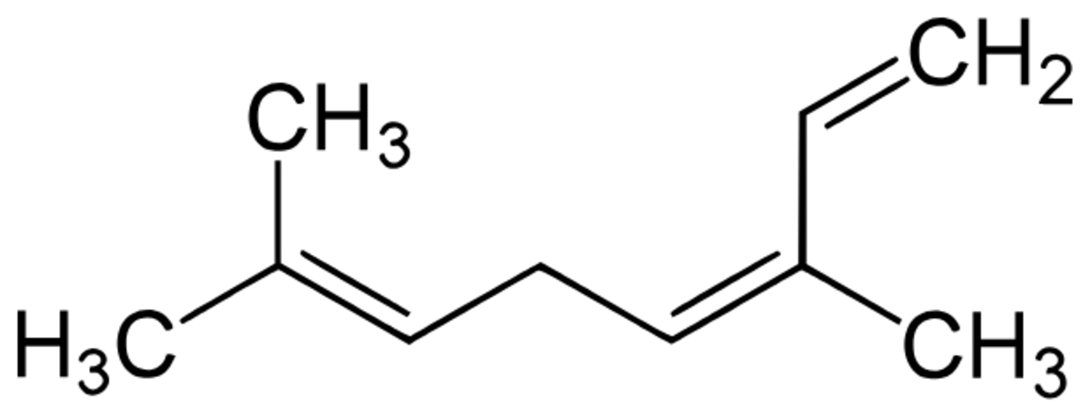 Chemical Structure of Ocimene