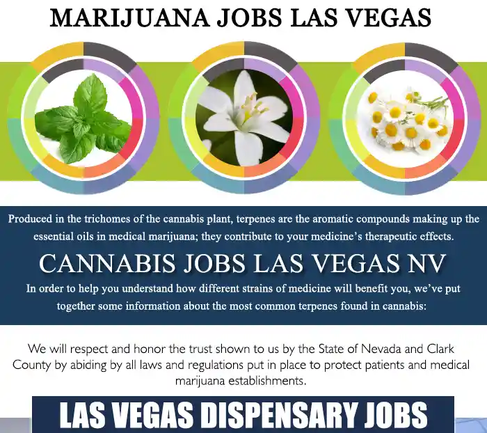 Reef Dispensaries Las Vegas NV