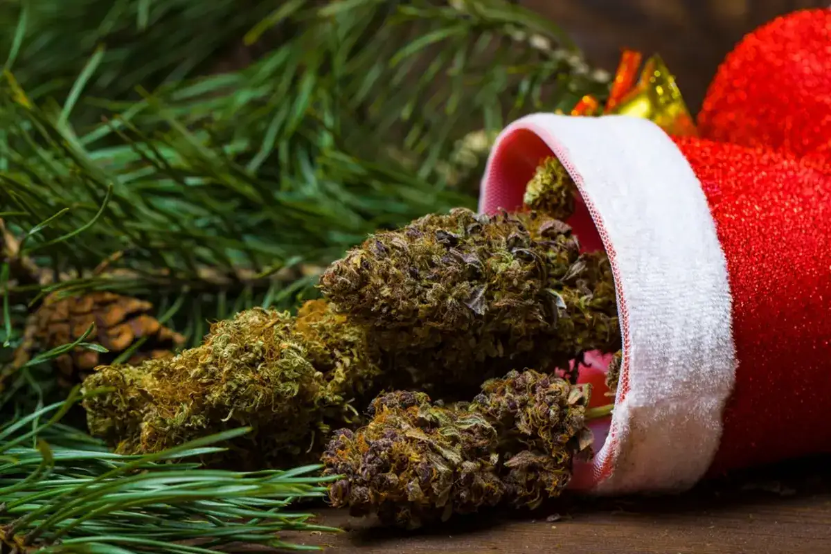 Cannabis and Christmas time