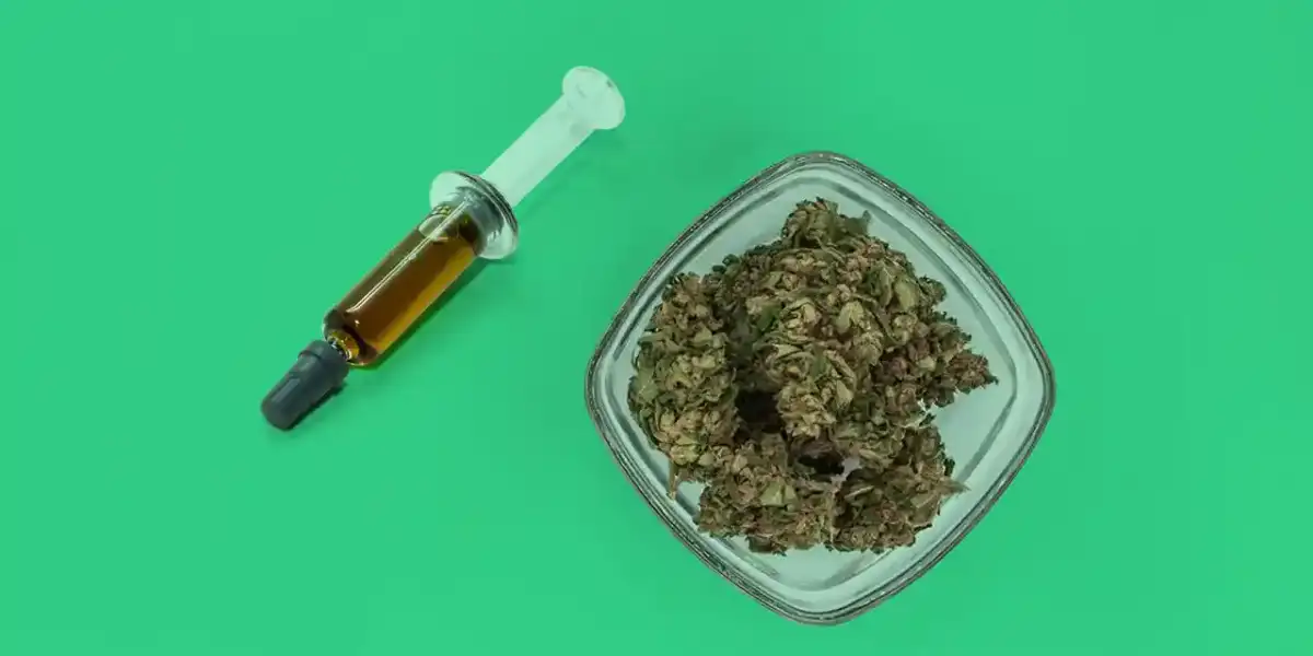 Cannabis Leaves and Tinctures in a syringe