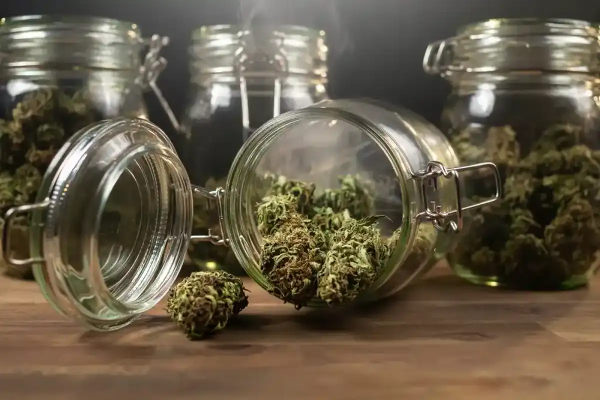 Glass jars with cannabis leaves