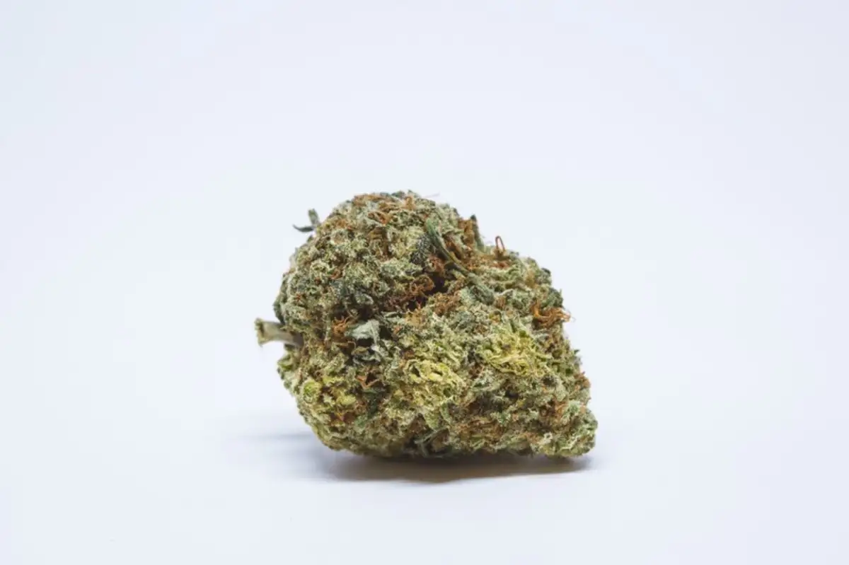 Close-up of Wild Cherry Cannabis