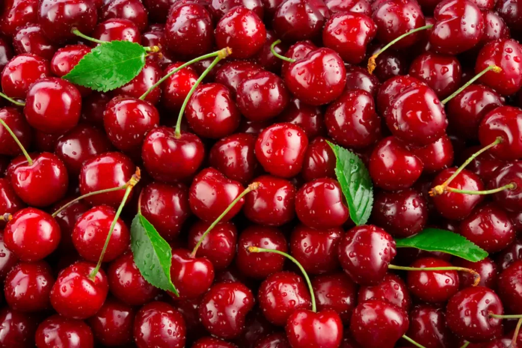 Fresh organic berries with leaves macro