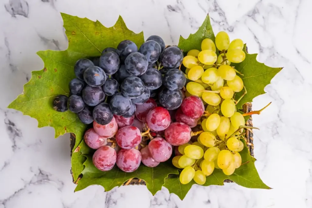 Nutritious vitamin store fresh grape varieties