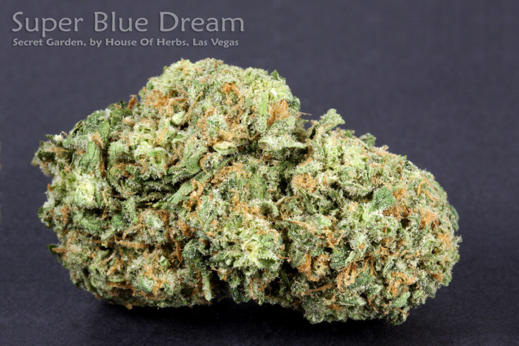 Blue Colored Weed: What Makes Strains Look Truly Blue