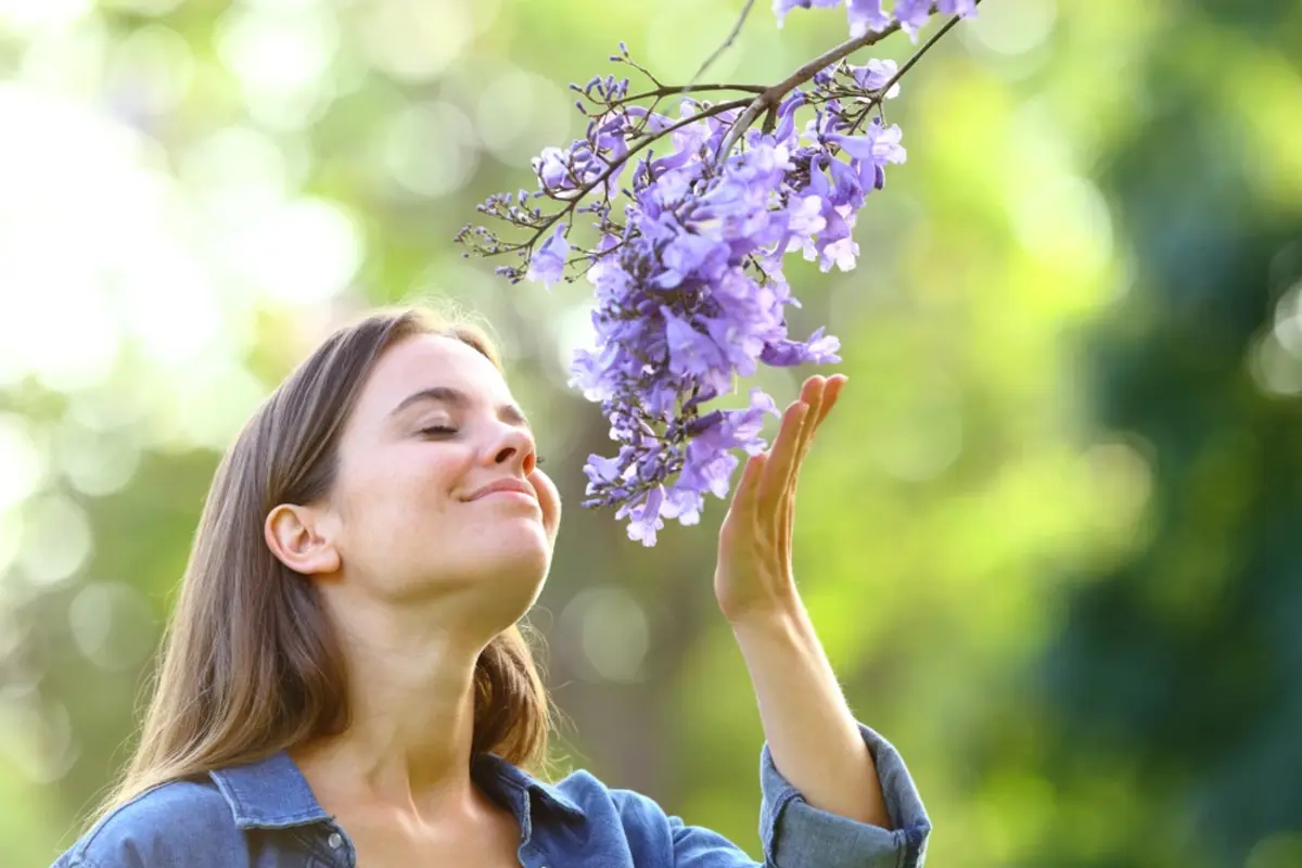 Woman holding a branch with purple flowers on it