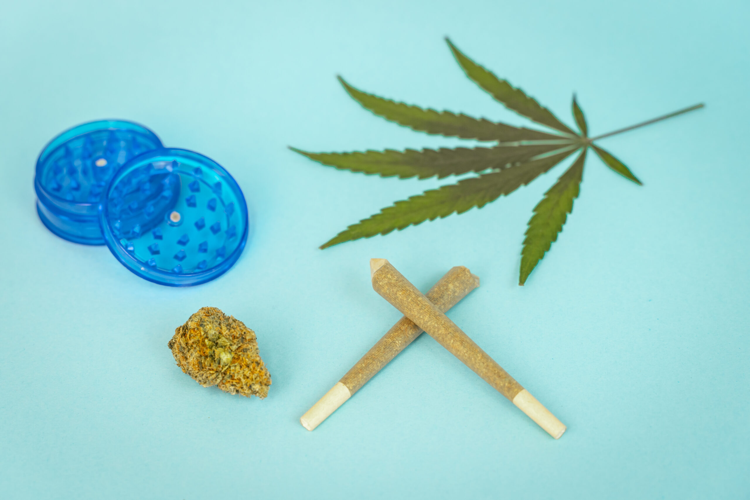 CBD medical marijuana and hemp leaves. Medical cannabis.