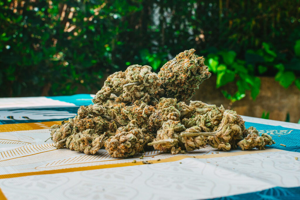 closeup-shot-of-weed-buds-on-the-table-outdoors