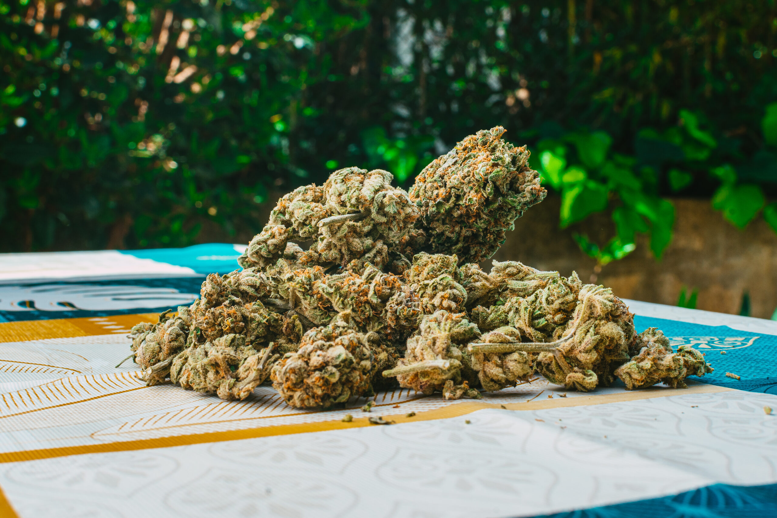 Closeup shot of weed buds on the table outdoors
