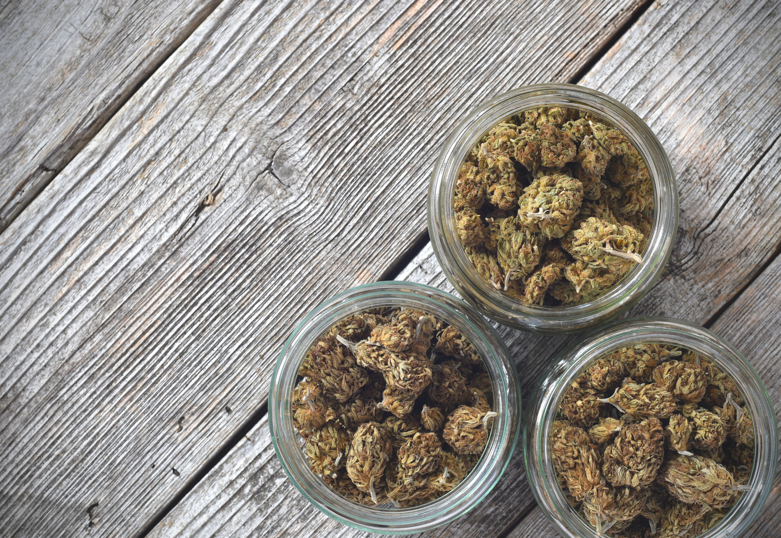 Dry and trimmed cannabis buds stored in a glas jars