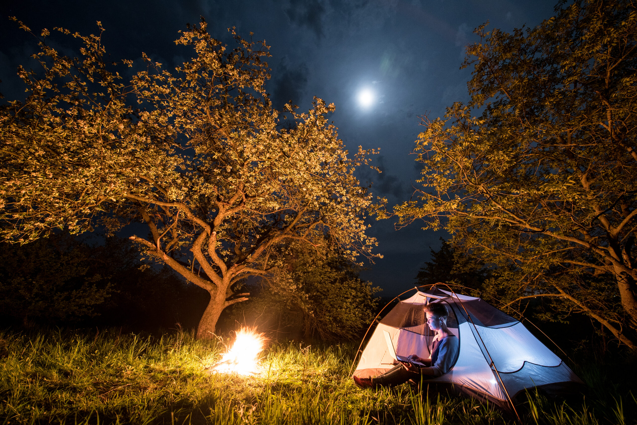 Female tourist using her laptop in the camping at night. Woman sitting near campfire and tent under trees and night sky with the moon