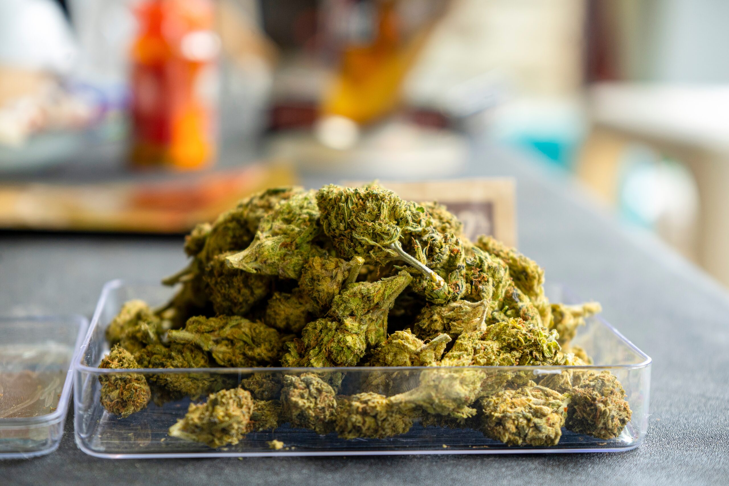 Marijuana and Cannabis Buds. Medical marijuana flower. Weed buds