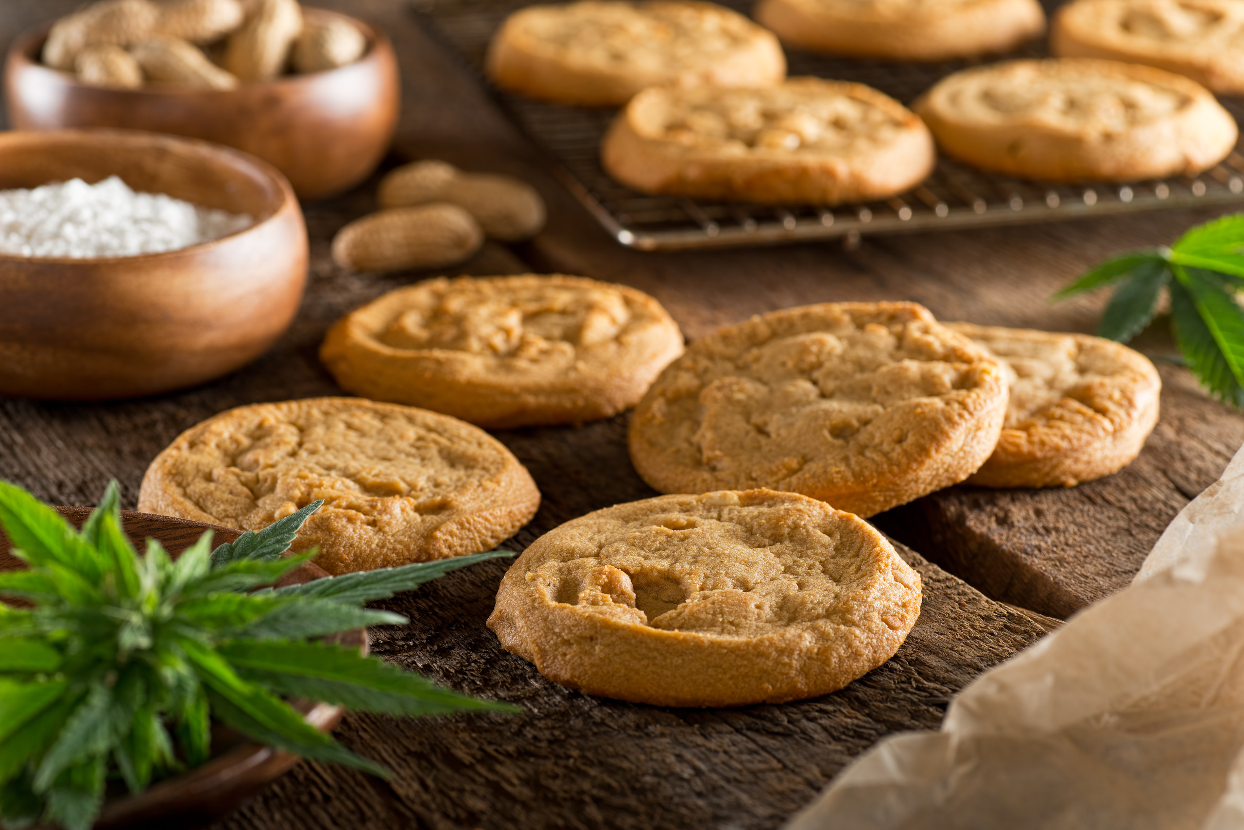cannabis cookies 