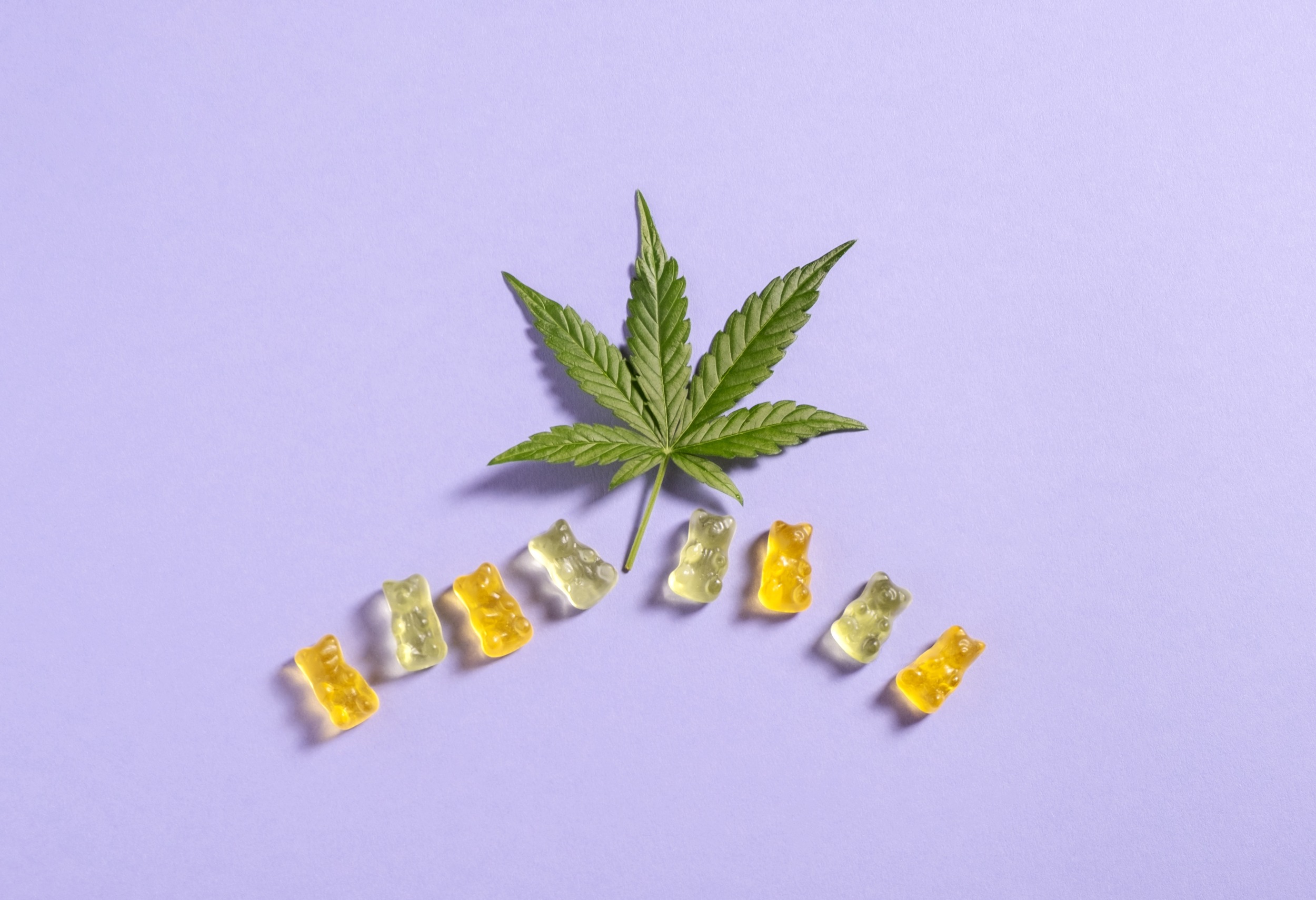 top-view-colorful-gummy-bears-and-cannabis-leaves