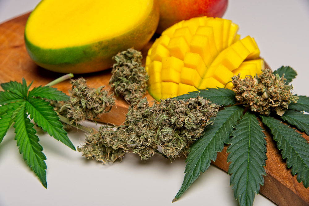 Cut,Mango,Fruit,With,Cannabis,Leaves,And,Buds.,Myrcene,And