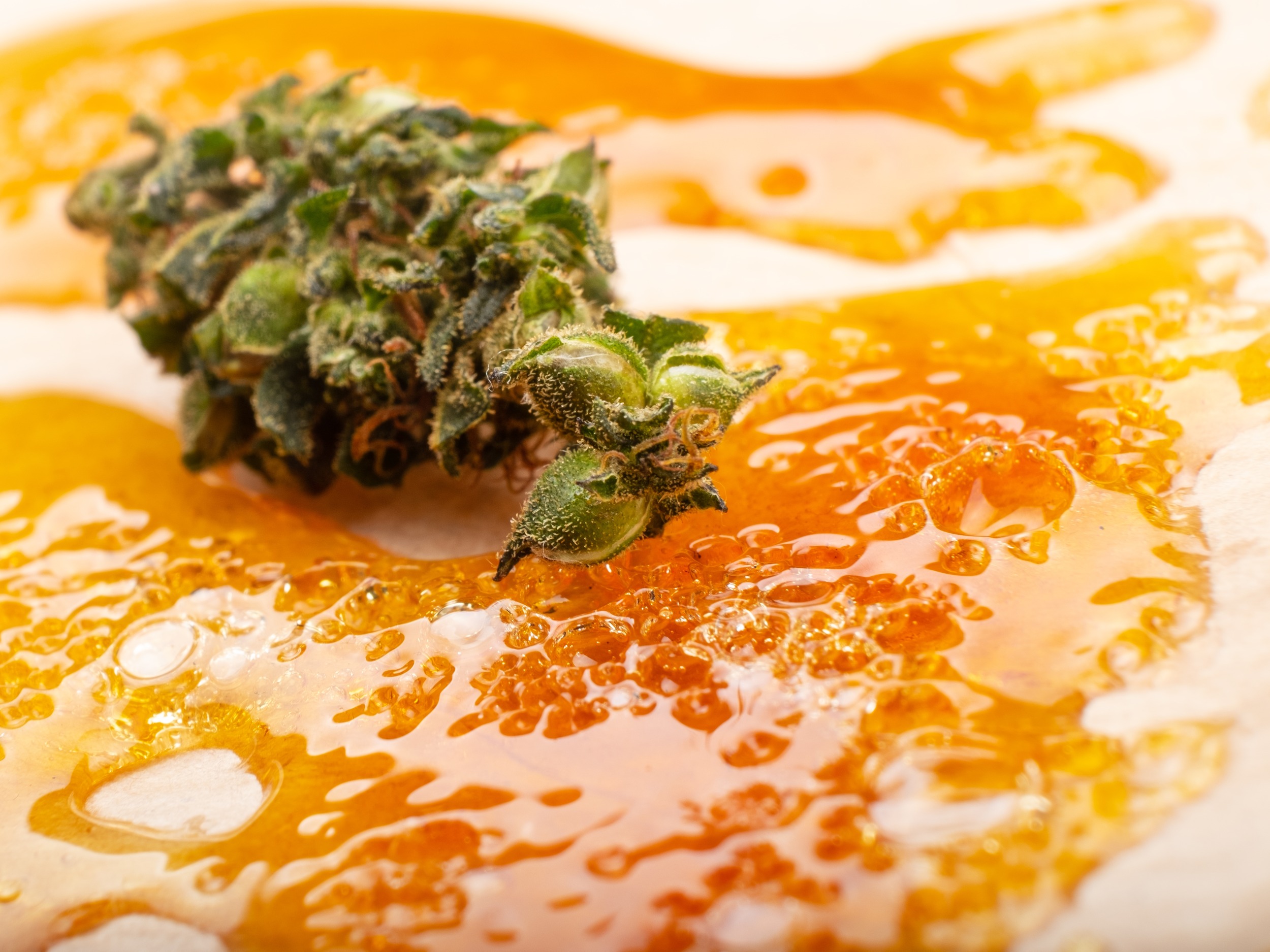 Consume Cannabis Concentrates