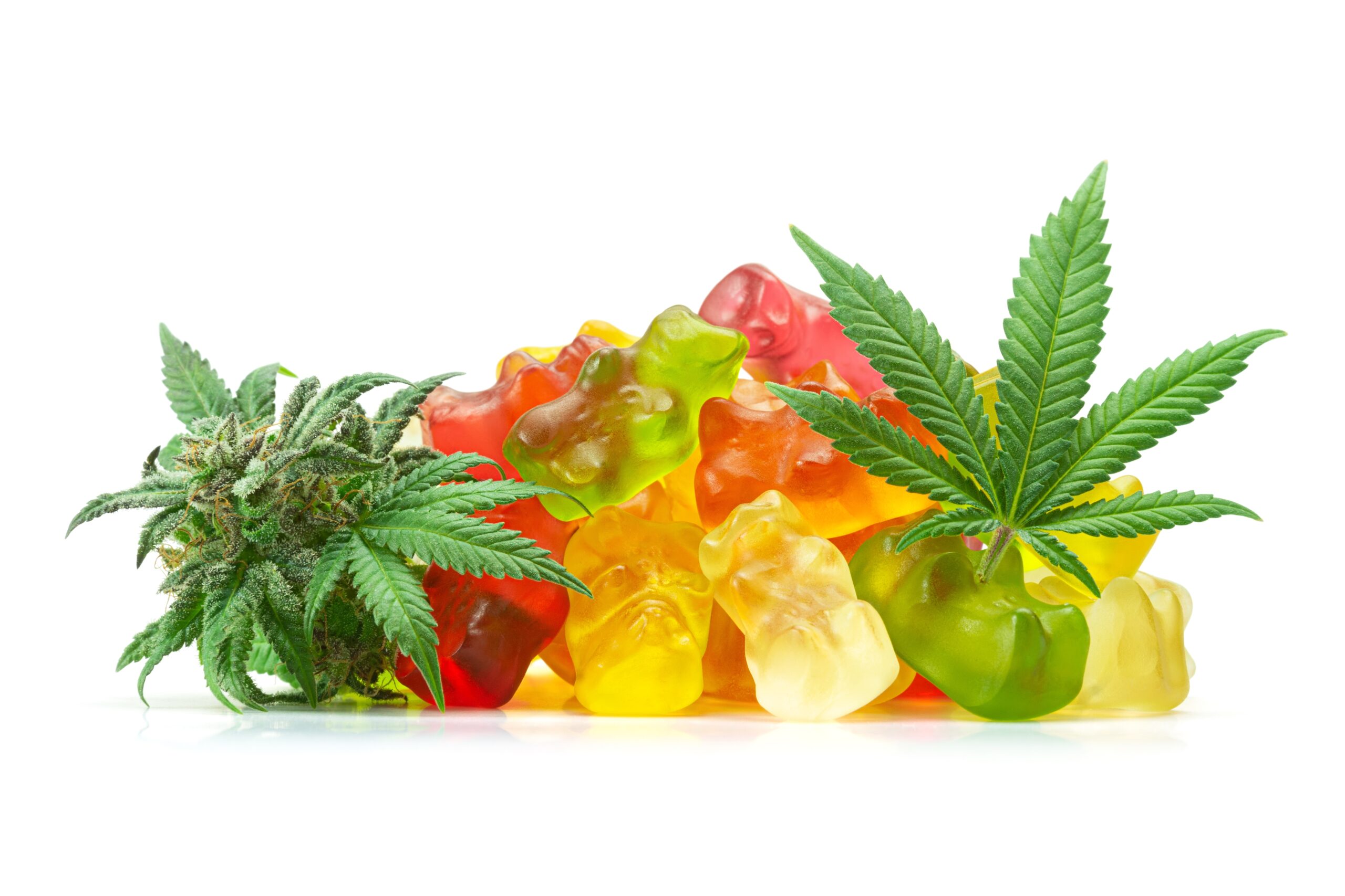 Medical,Cannabis,Infused,Fruit,Flavored,Cbd,Gummy,Bears,With,Marijuana