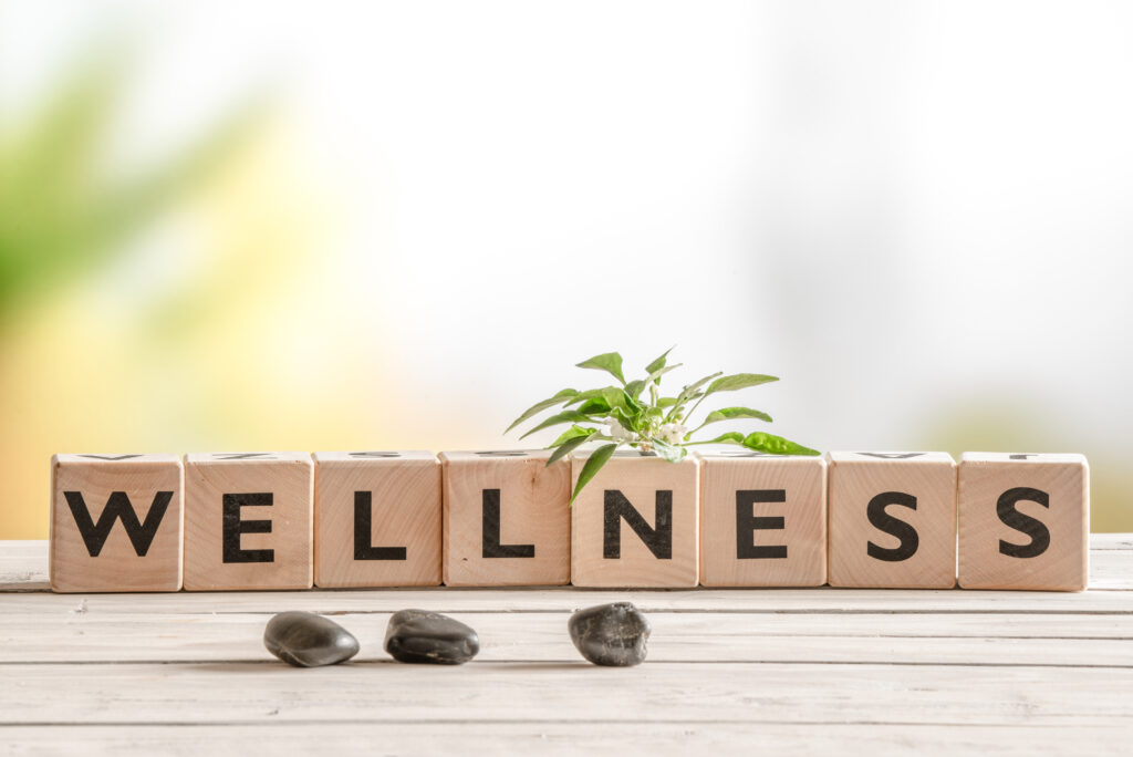 Wellness,Sign,With,Wooden,Cubes,And,Flowers,And,Stones