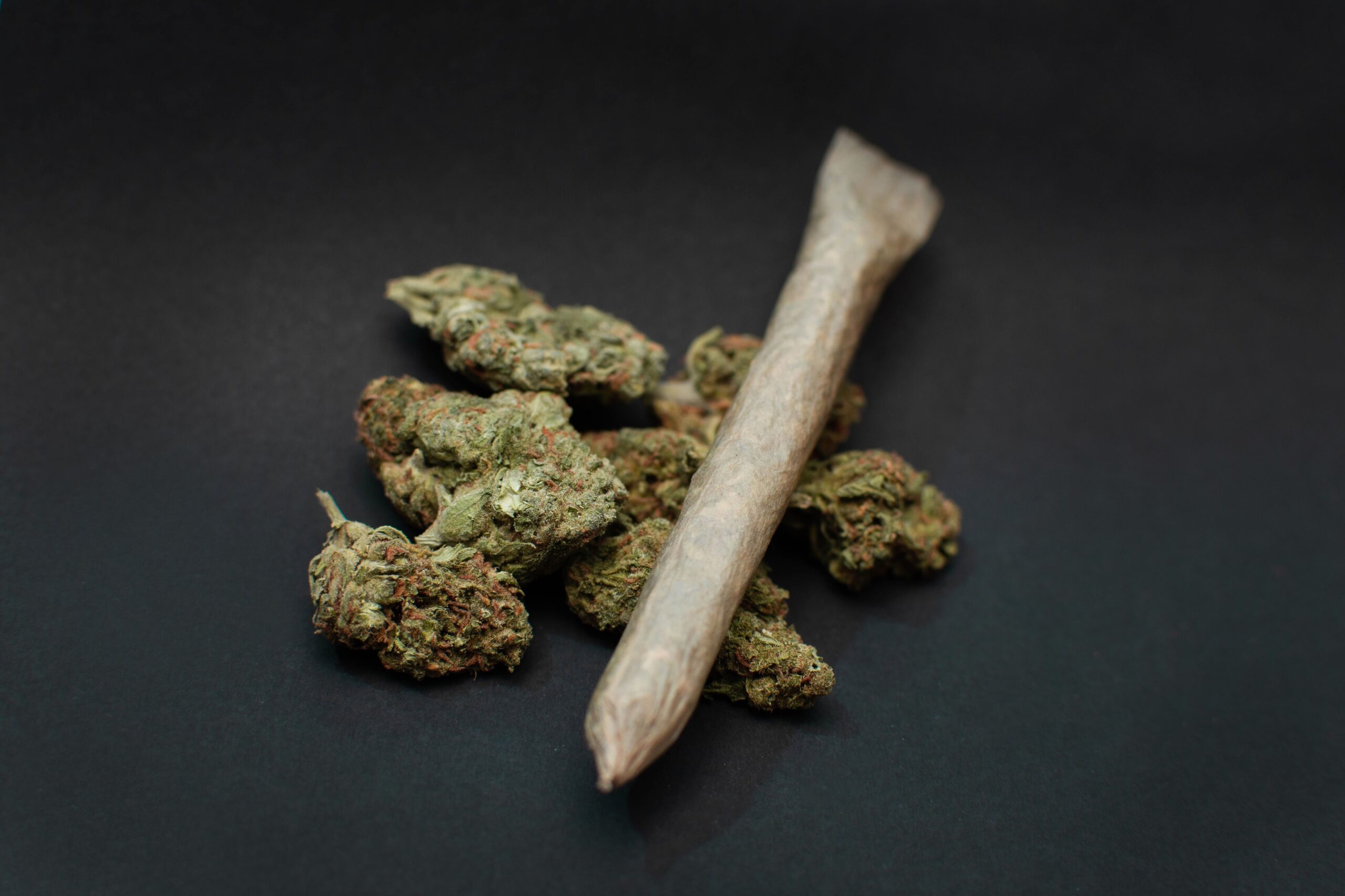 close-up-of-marijuana-buds-and-a-joint-on-a-black