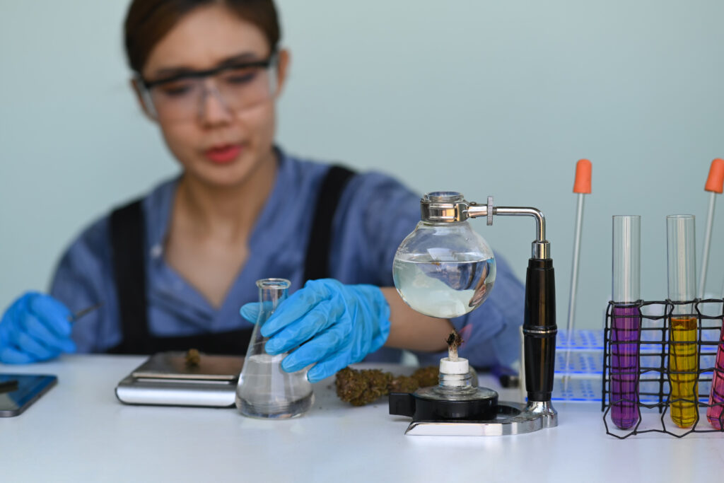 female-chemist-examining-marijuana-oil-in-laborato