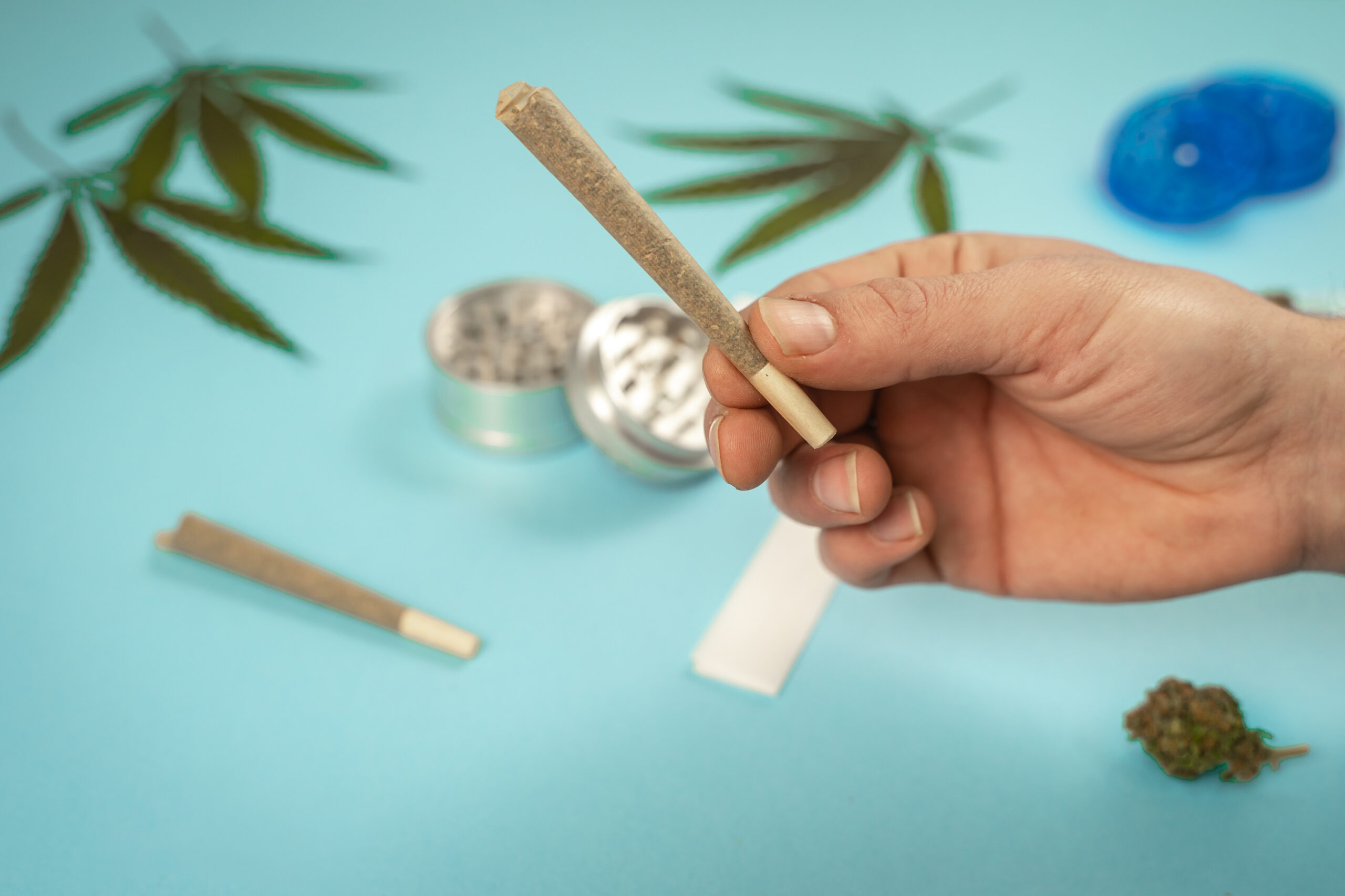 hand-with-cbd-medical-marijuana-and-hemp-leaves