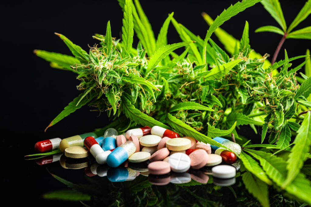 marijuana-buds-cannabis-plant-and-pills-on-black