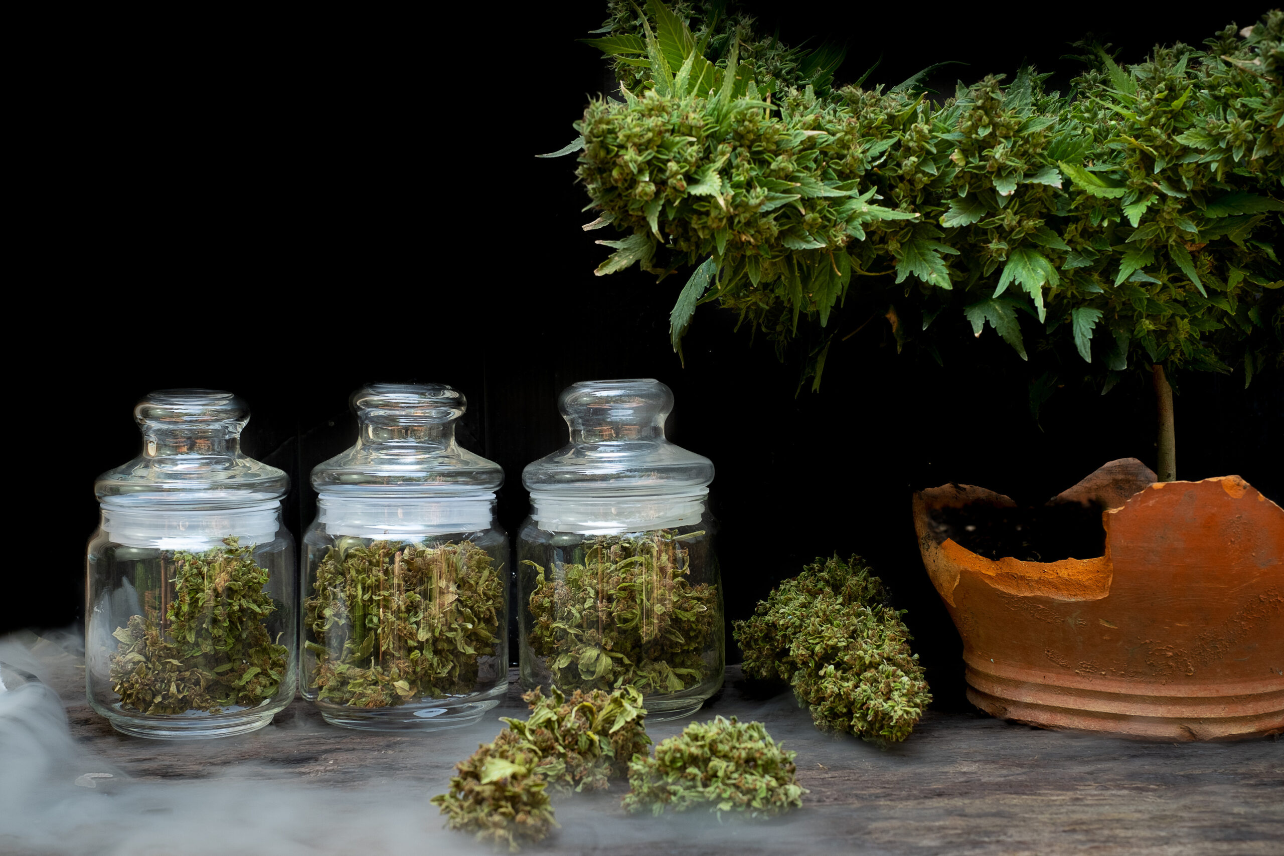 the-marijuana-buds-in-a-clear-glass-jar-sit